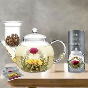 NWT Read Gorgeous TEABLOOM Celebration Teapot & 12 variety Flowering Teas Box +2